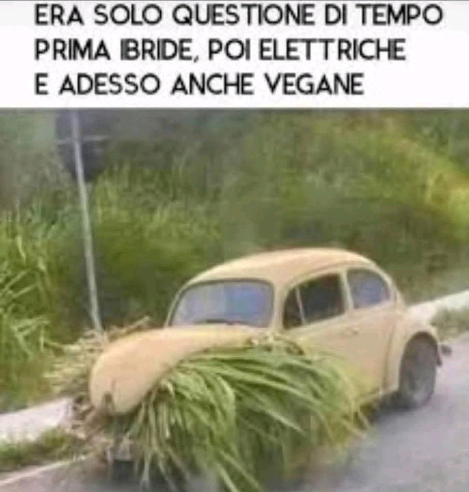 Lo sapevo che sarebbe successo prima o poi 😭