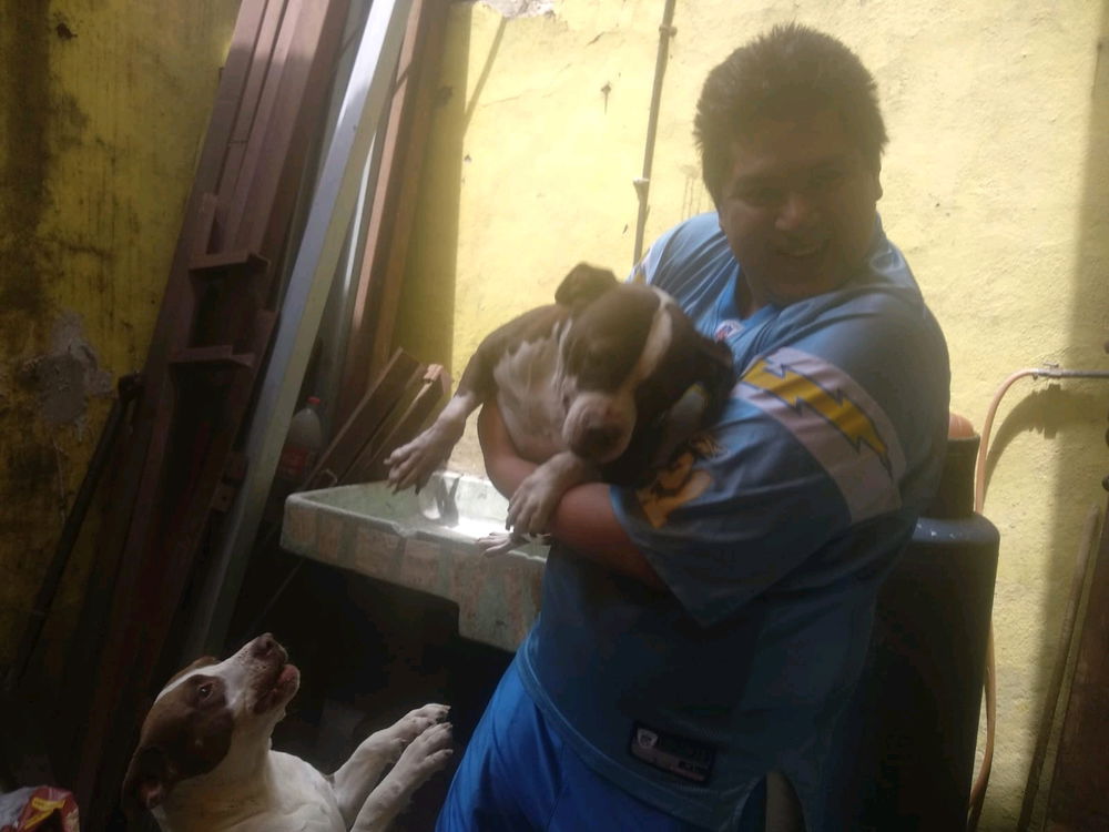 Mis hermosos hijos