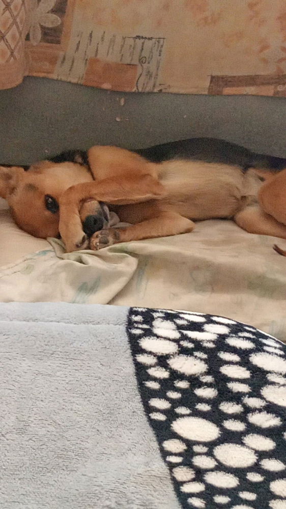 Mis hermosos hijos