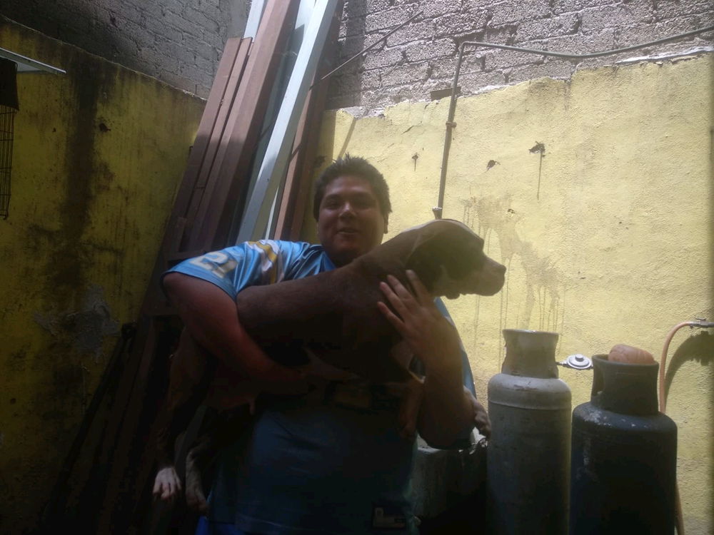 Mis hermosos hijos