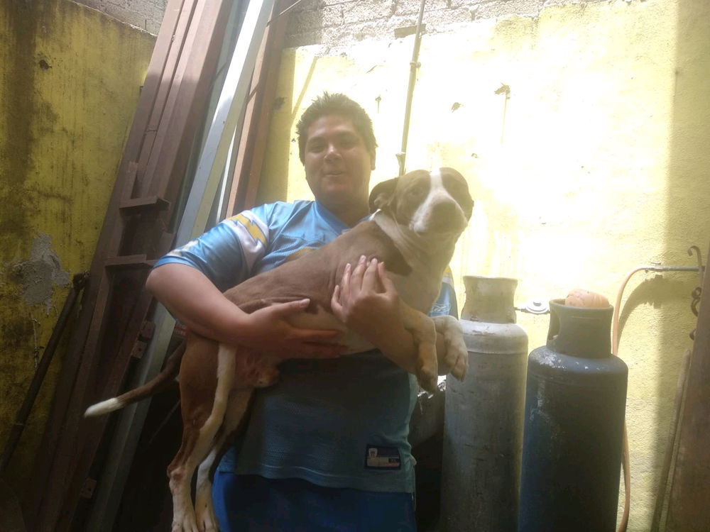 Mis hermosos hijos