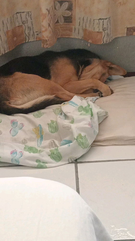 Mis hermosos hijos
