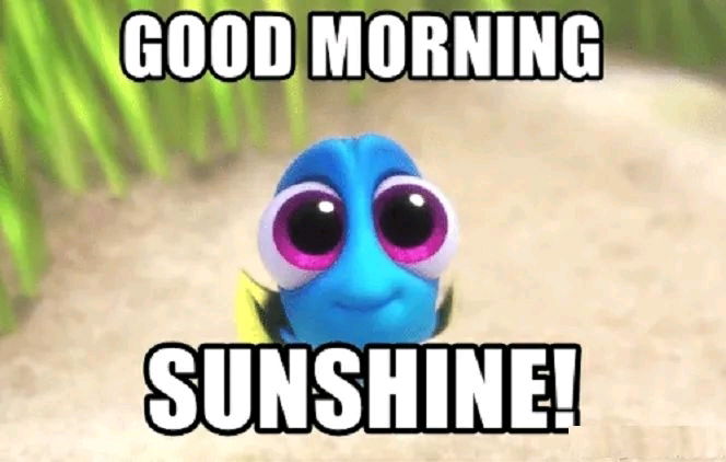 Good morning y'all 😗