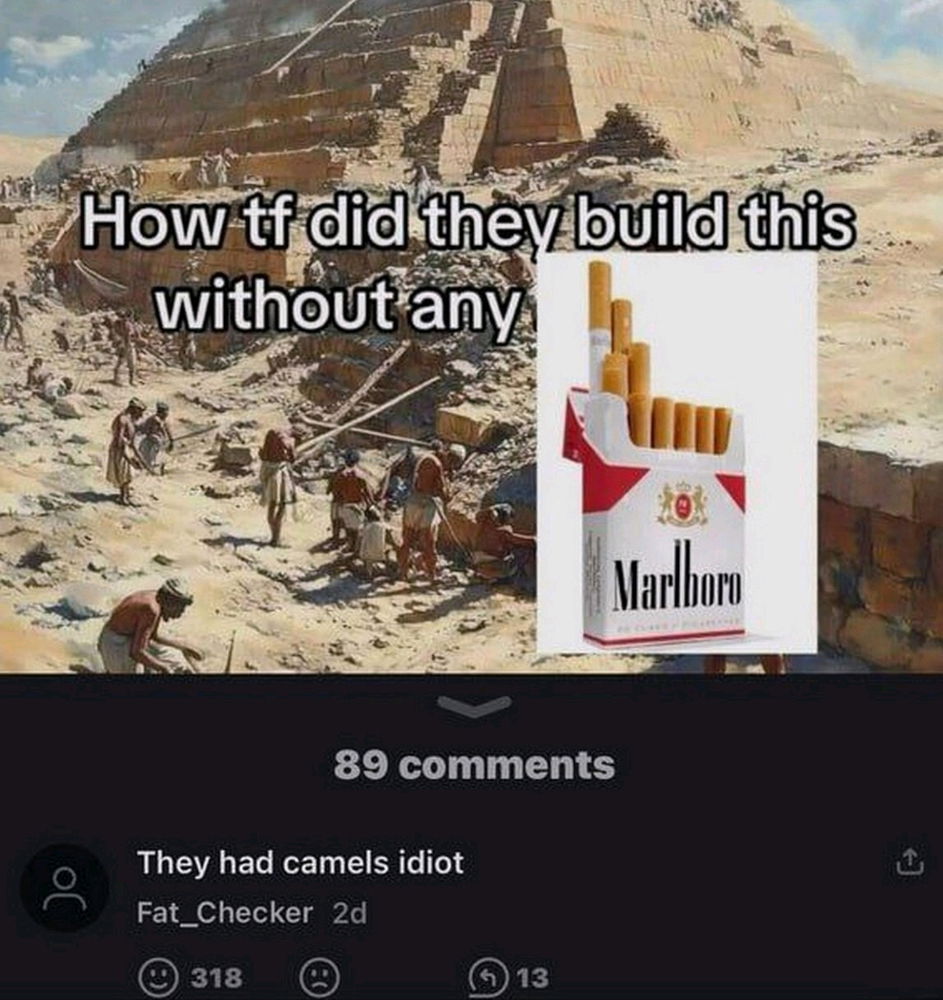 🐫