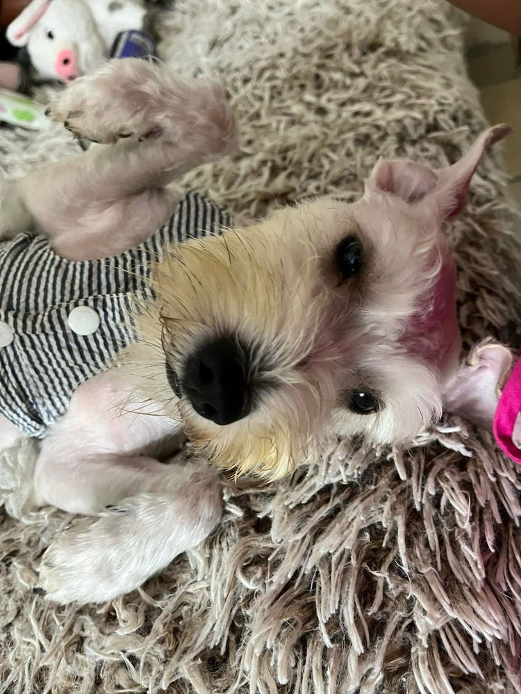 Mi bebita preciosa💕