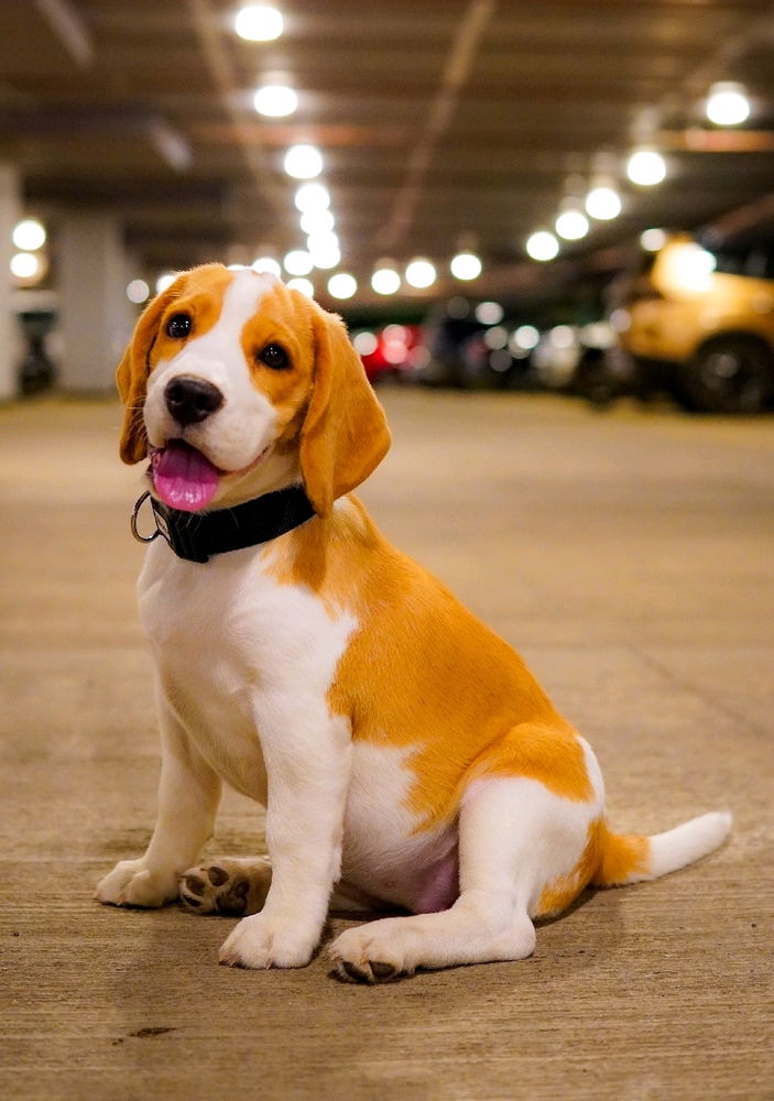Warning: May cause instant love