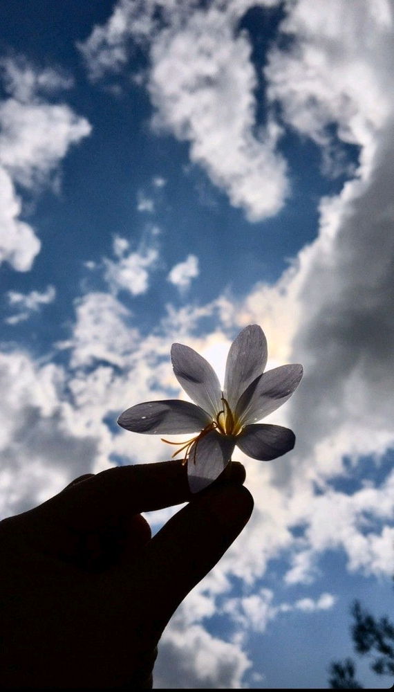 Beautiful right