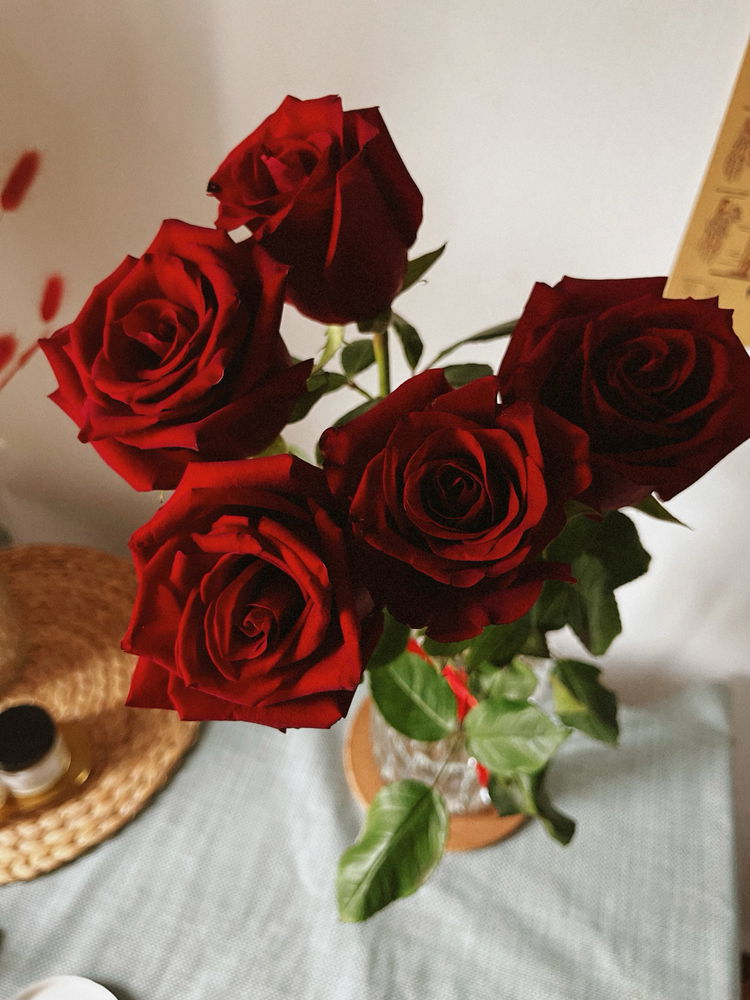 🌹🥰