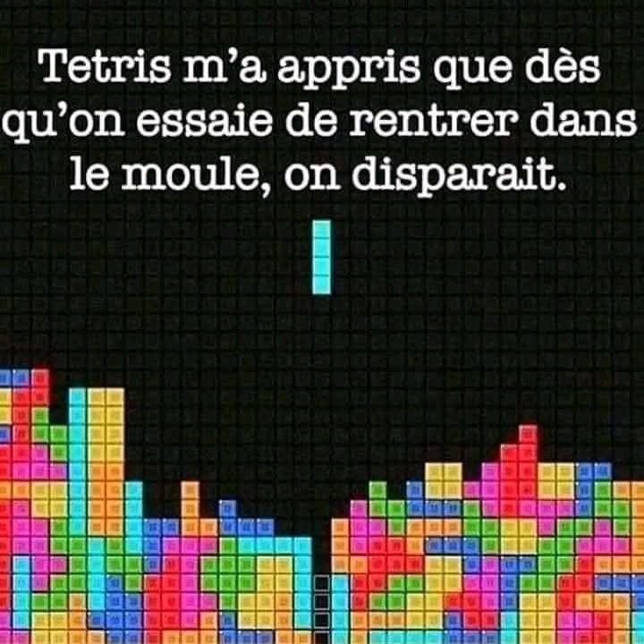 Histoire de cases