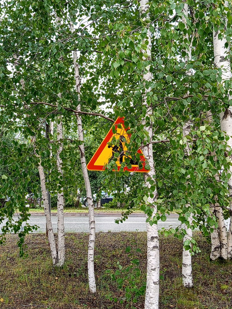 Боже... Дай мне знак..
Хм...🧐