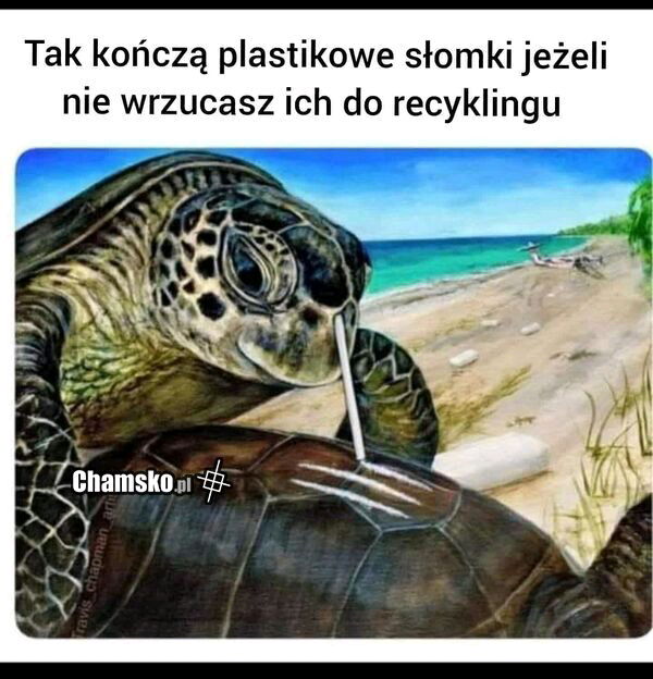 🐢🏔️