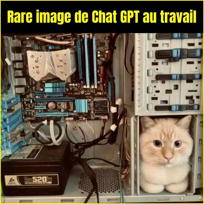 ChatGPT