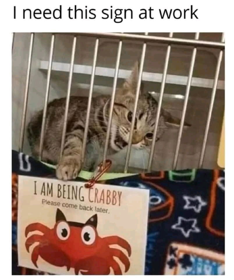 🙌