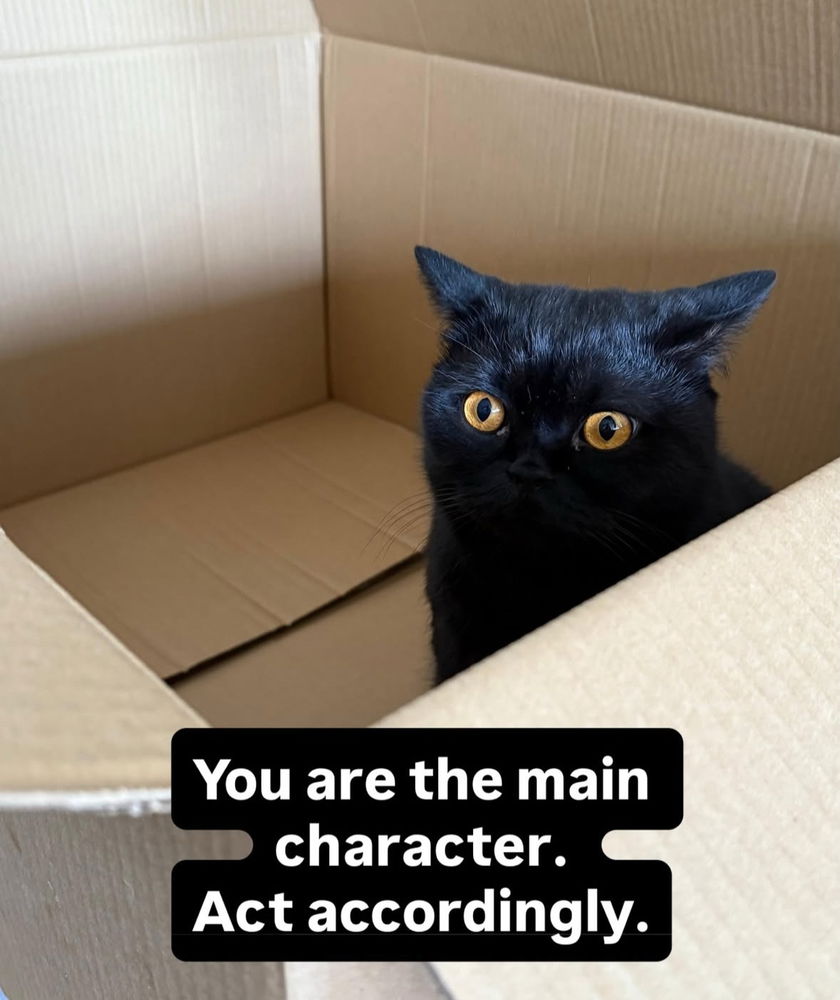 🙌🏻🖤🐈‍⬛🐈✨😻