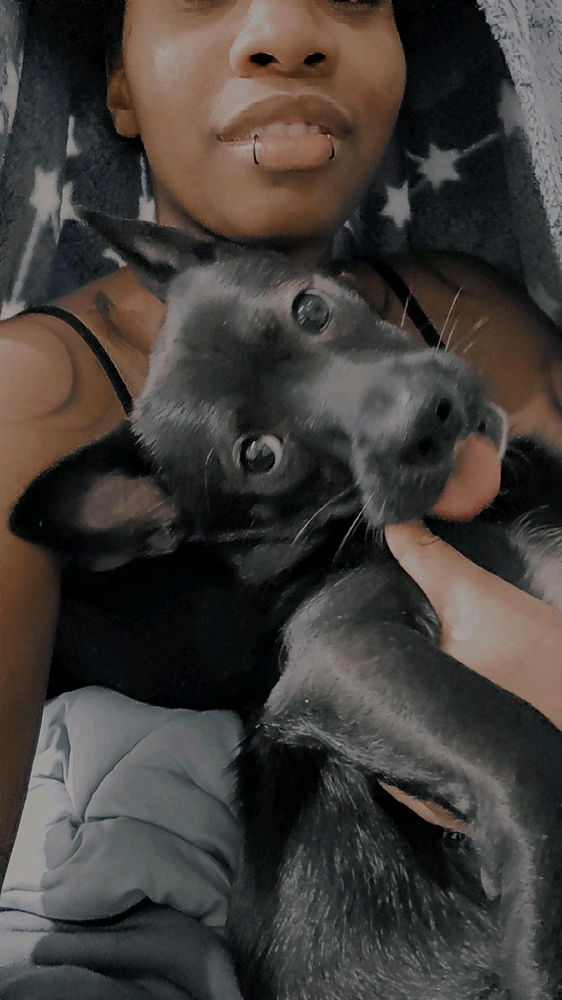 Wish my puppy happy birthday ~~