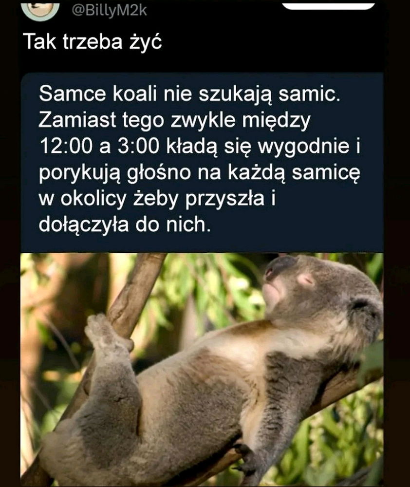 A wy dalej na tych apkach 😛