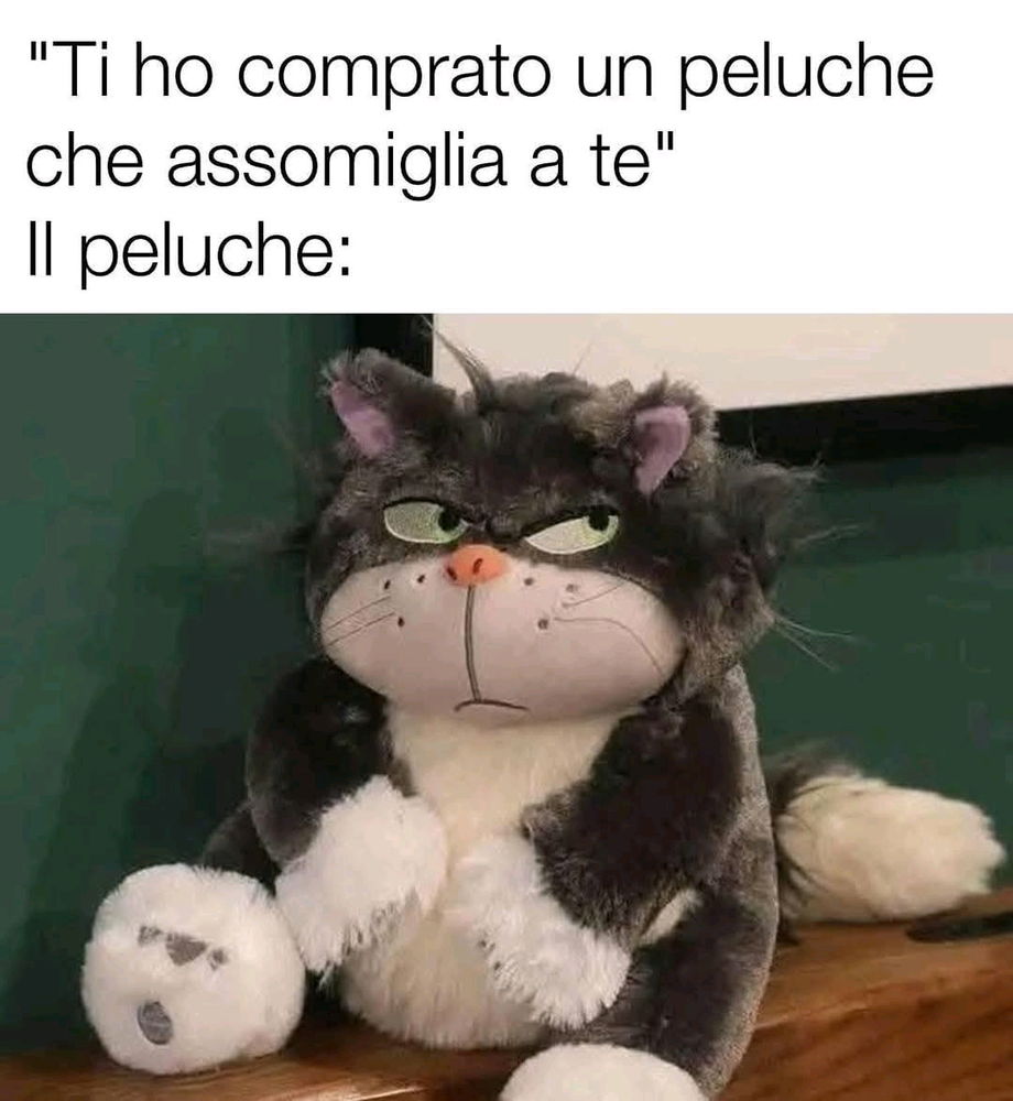 Lo Troverei Appropriato! 😂