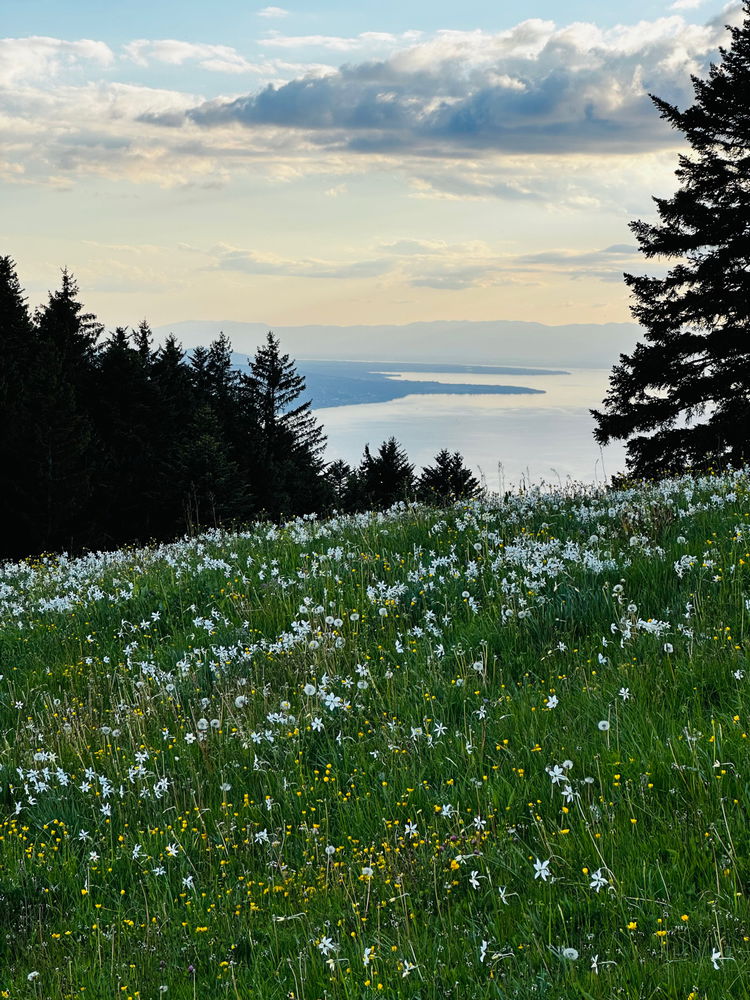 Wandertipp Montreux-Umgebung 🇨🇭