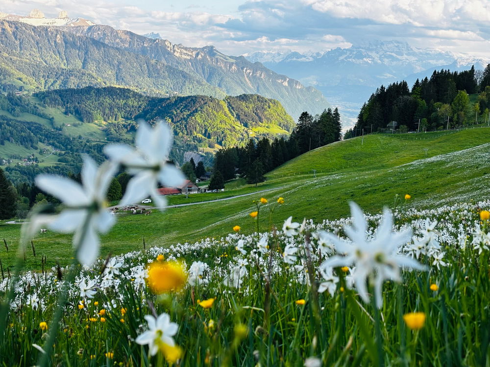 Wandertipp Montreux-Umgebung 🇨🇭