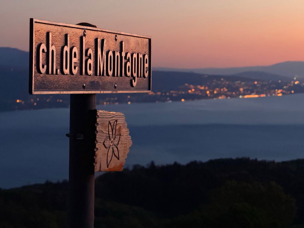 Wandertipp Montreux-Umgebung 🇨🇭