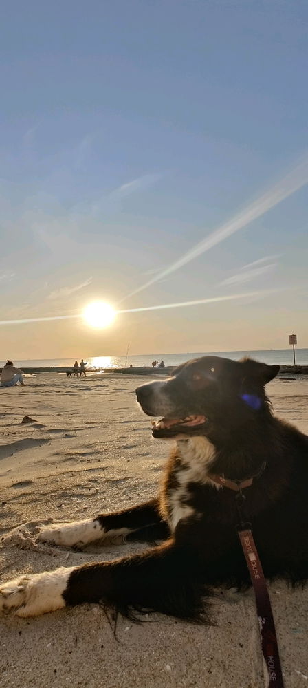 Sunset by GNK