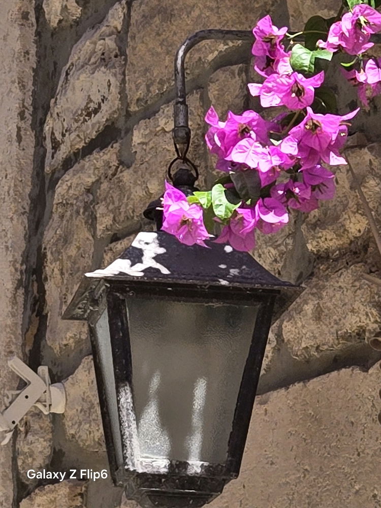 Details....