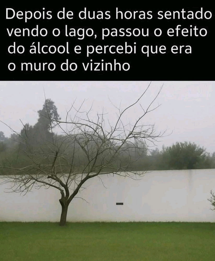 Se eu não tivesse lido até o final seríamos 2 olhando o lago, e eu nem tô chapada 😂😂😂😂