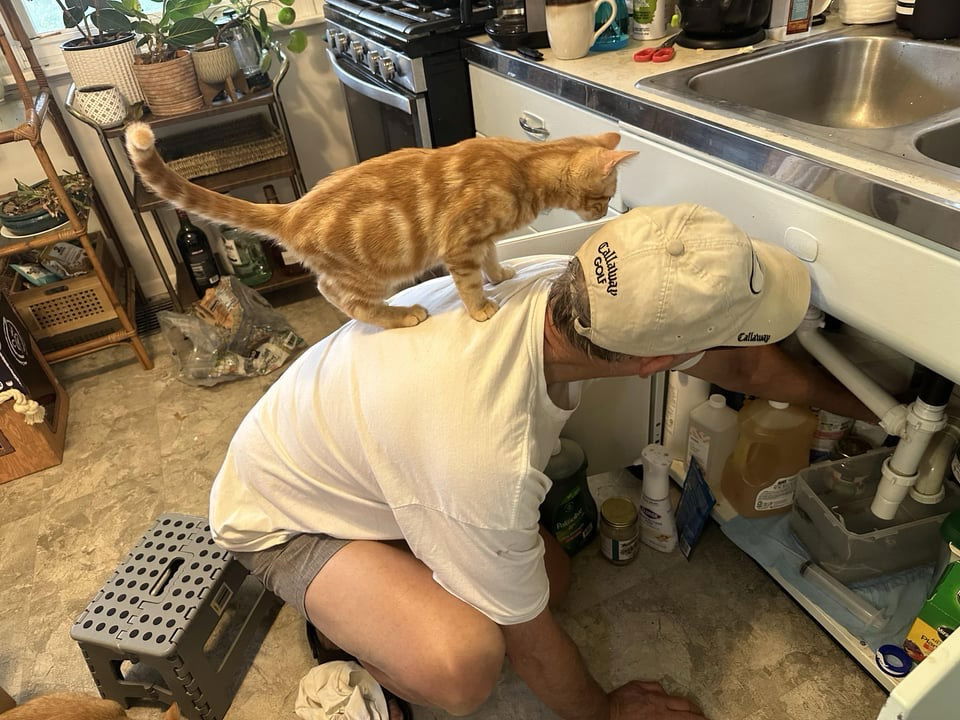 He wants to help