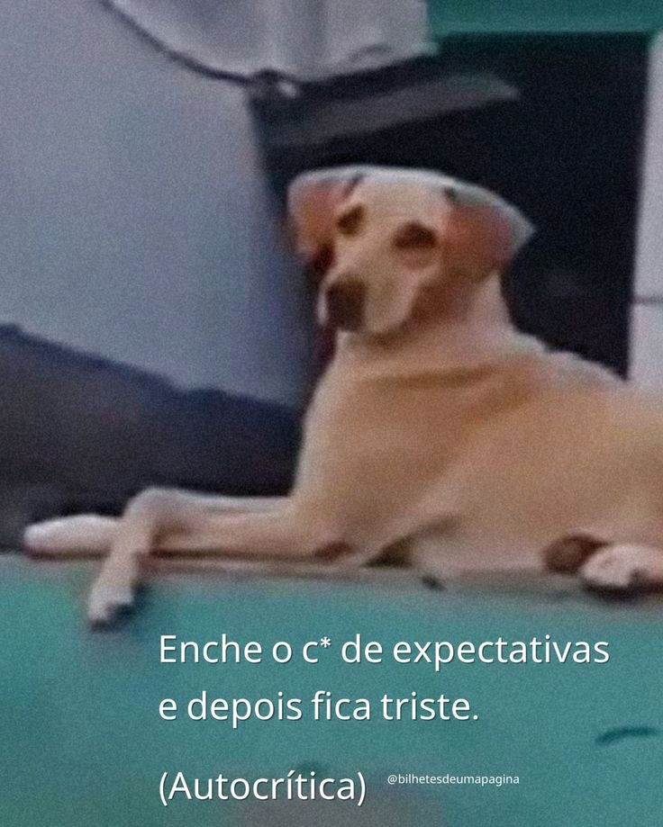 Bom dia!