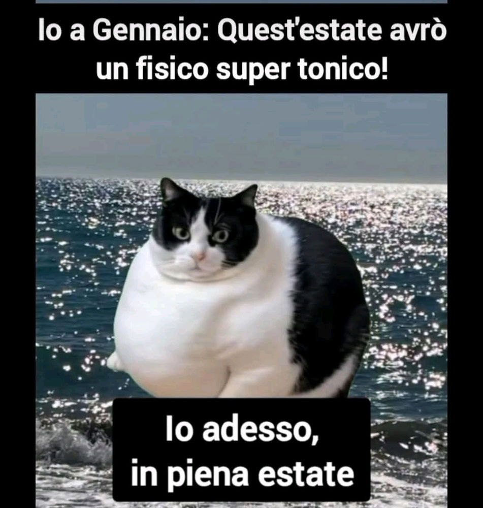 Tratto da una storia vera....il mio gatto 🤣🤣🤣
