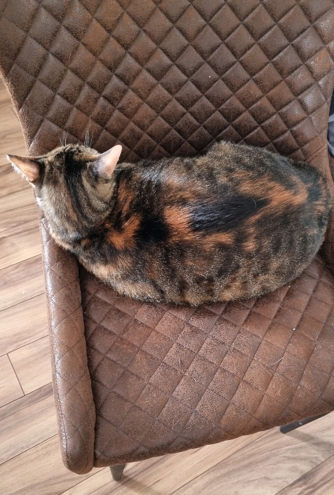 Yep! She just doesn't care
