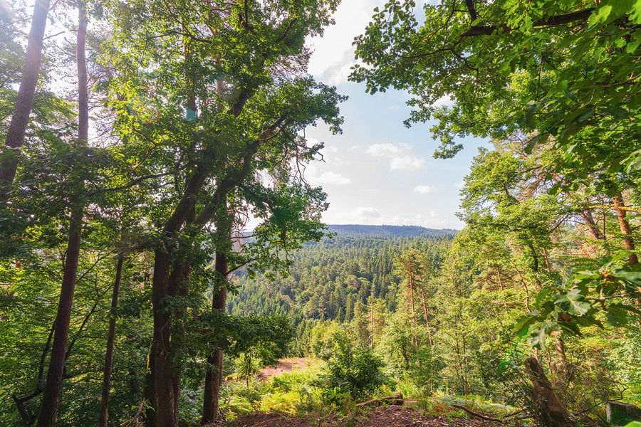 Wandern in der Eifel