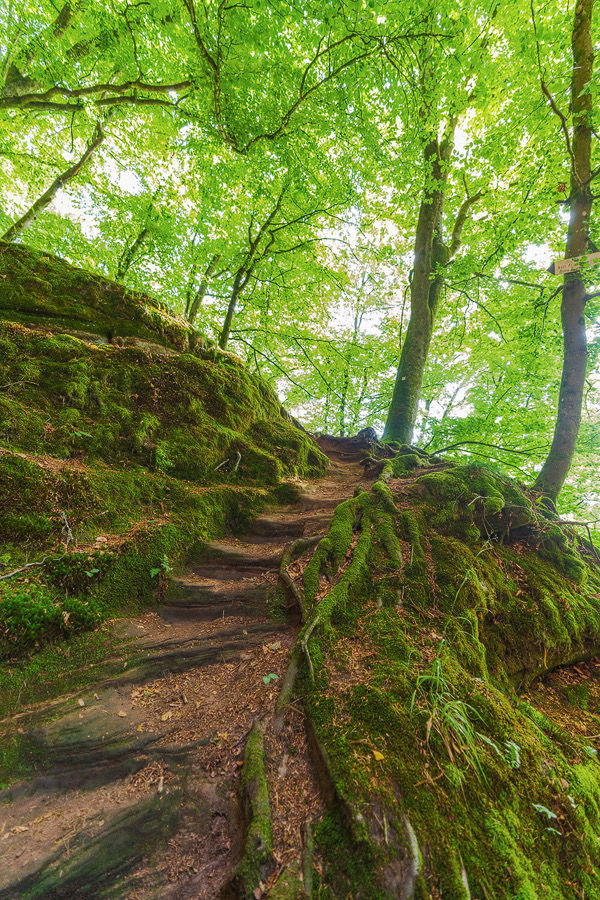 Wandern in der Eifel
