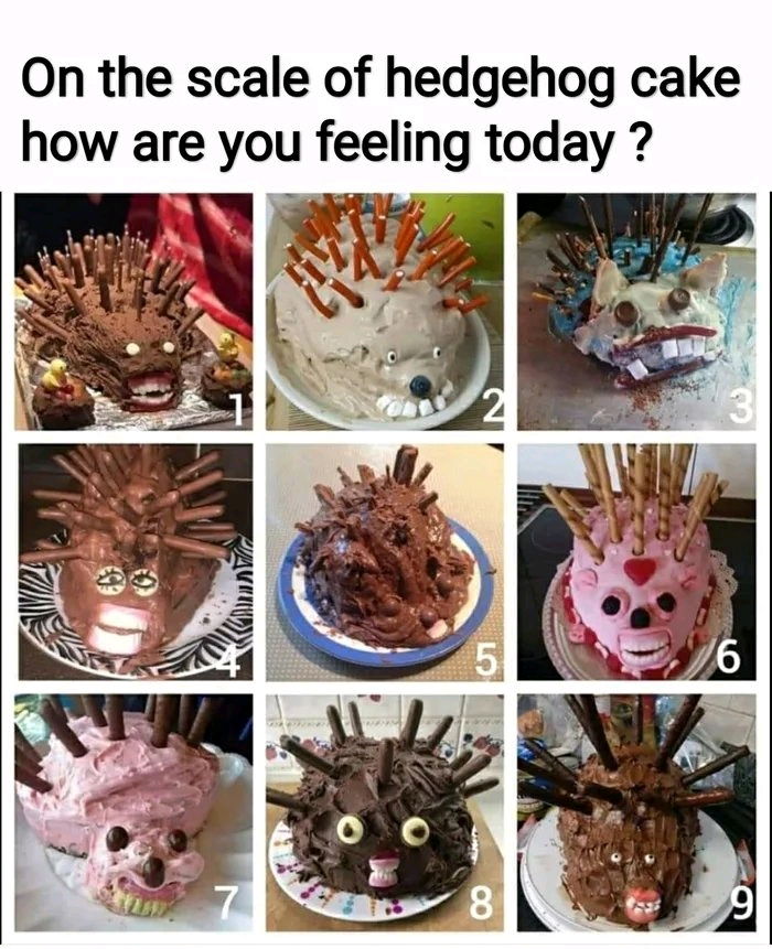 How do you feel?