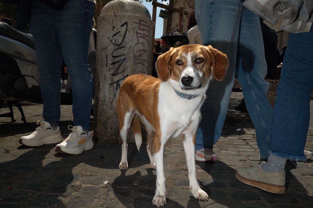 Fotografia di strada