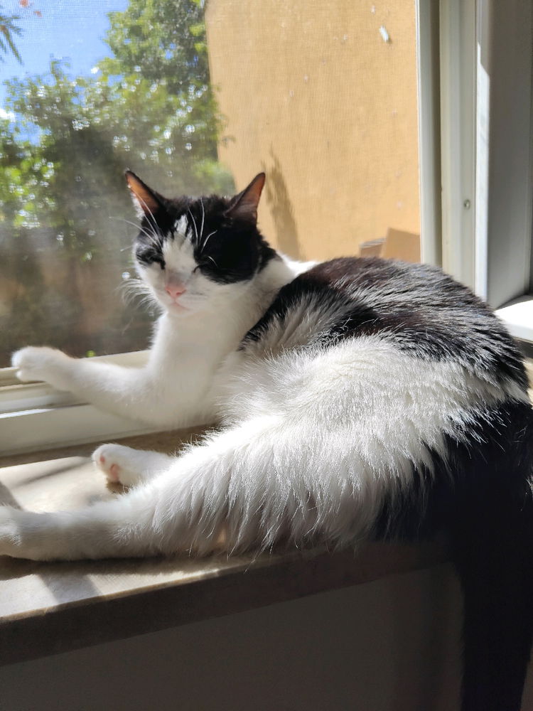 She's just enjoying the sun