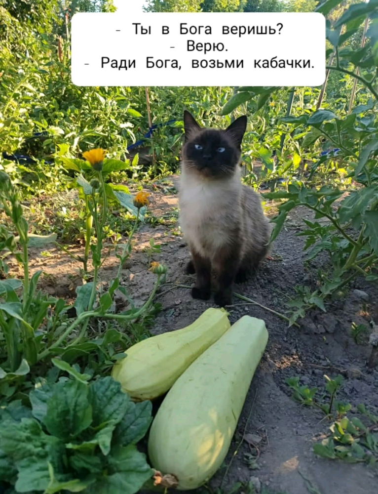 Ну что, открываем портал в ад?)