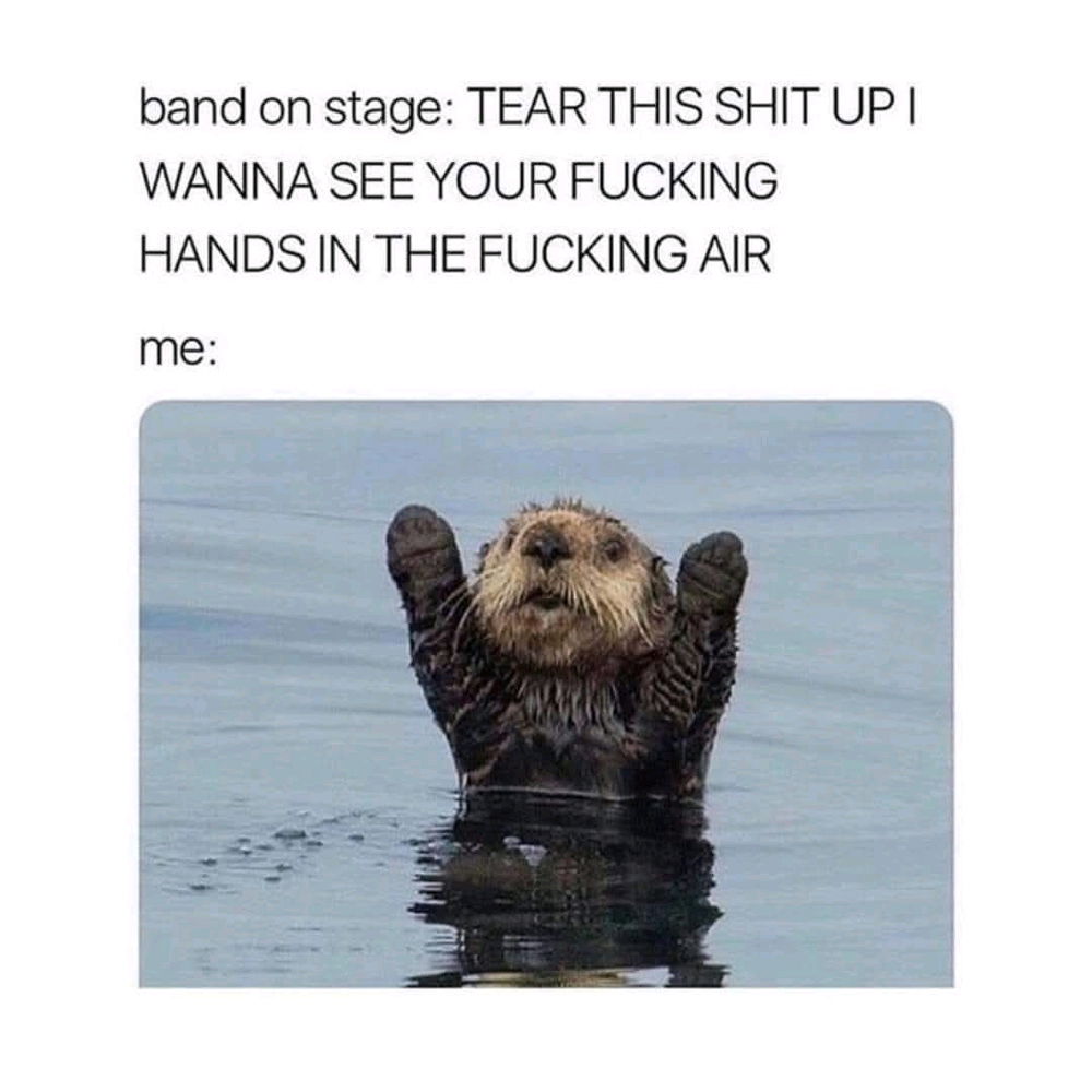 "Woo here we go!" 😂