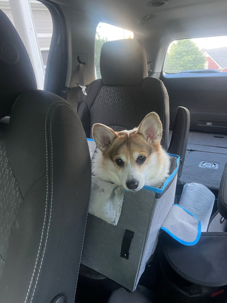 Morning Adventure