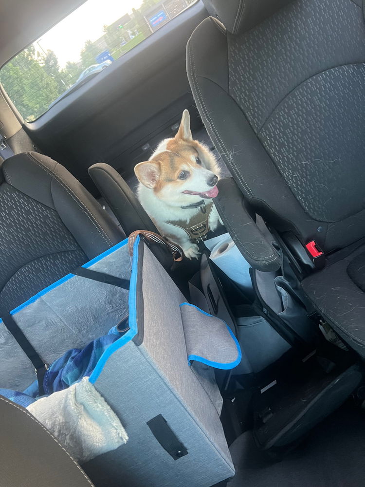Morning Adventure