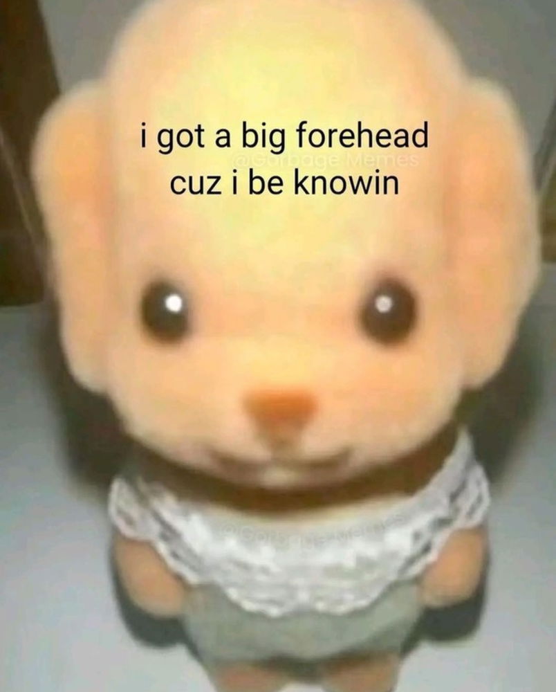 😂