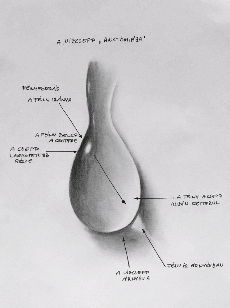 Gota segmentos de iluminación