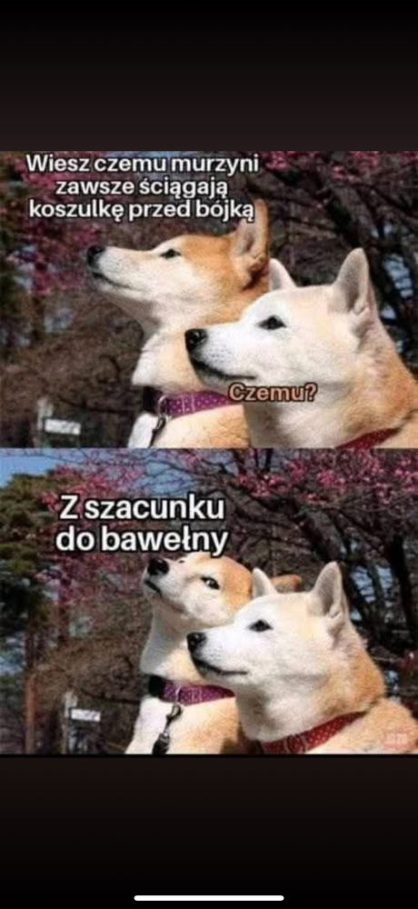Czarny humor 🤭