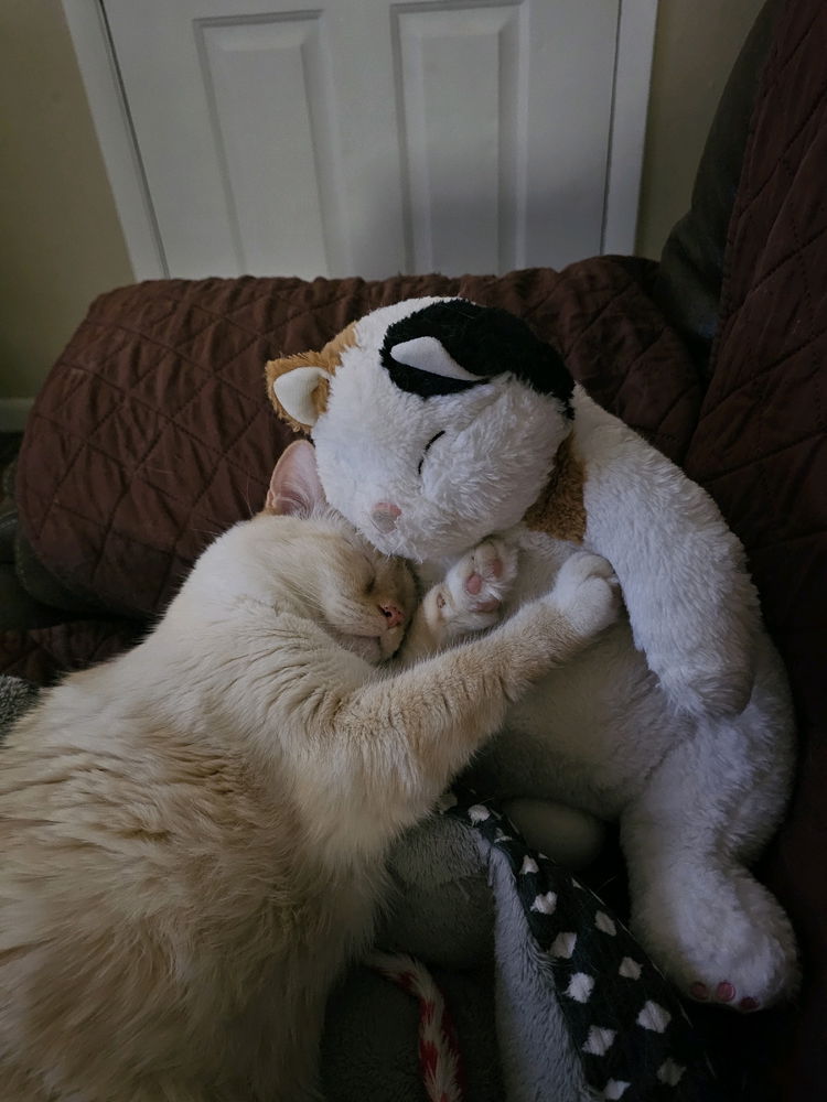Too cute