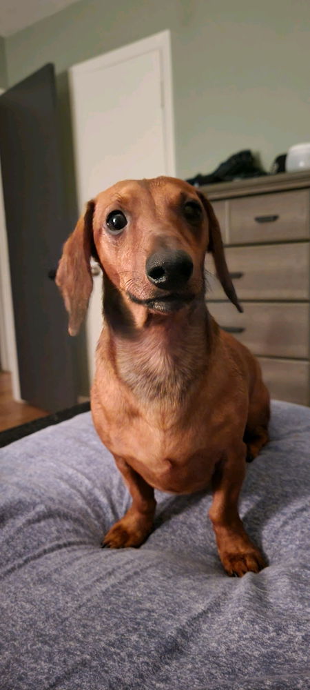 Willy says hi