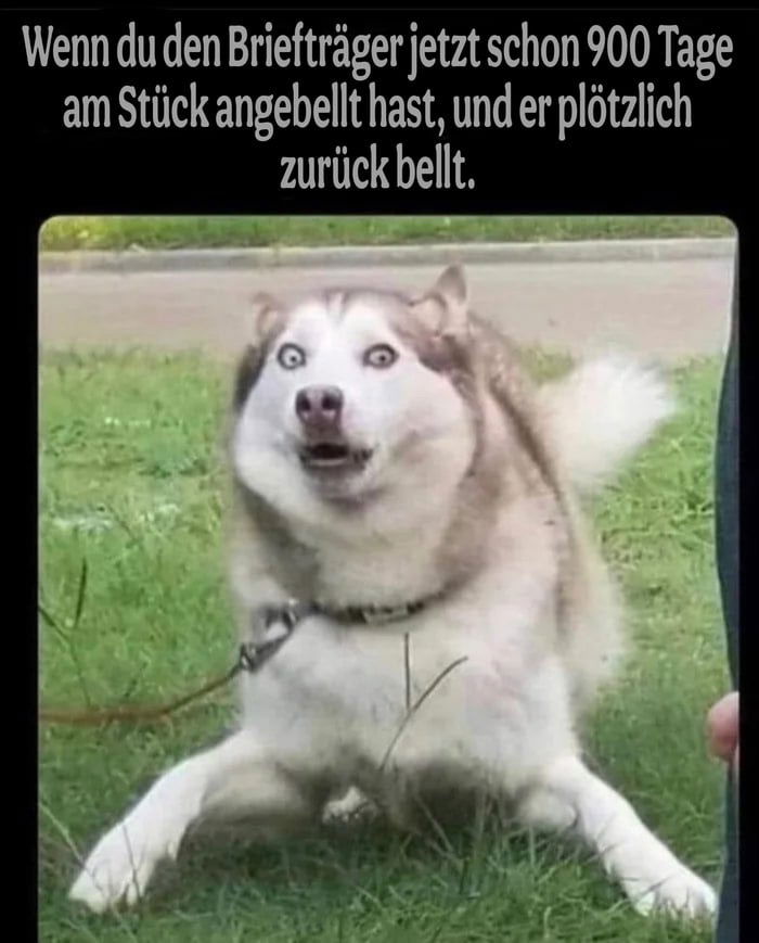 🐺