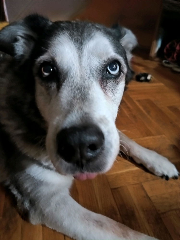 Luna