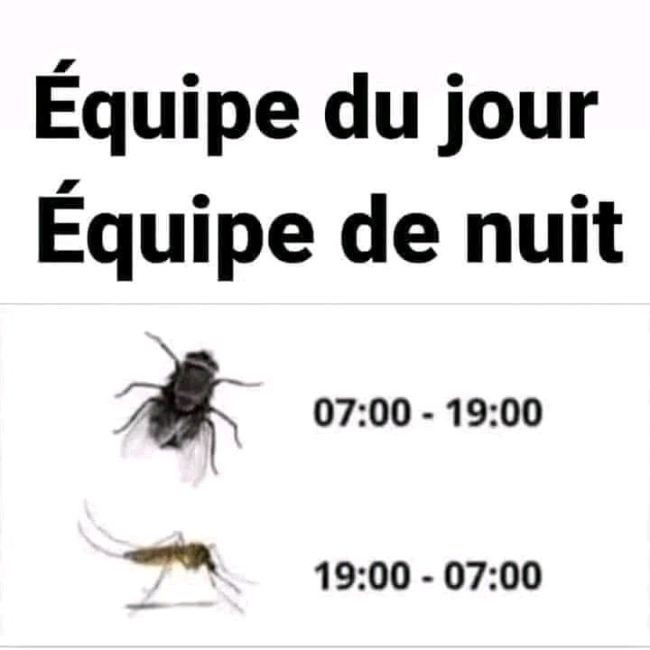 😁😅