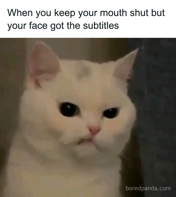 💬