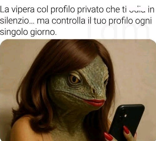 Adoro Questi Meme! 🤣